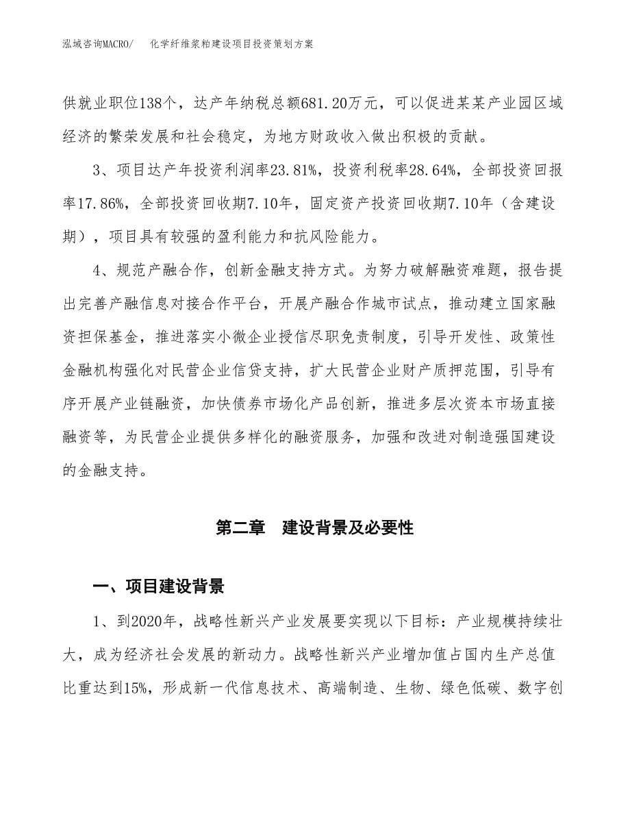 化学纤维浆粕建设项目投资策划方案.docx_第5页