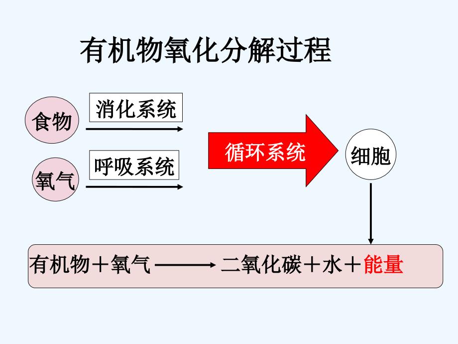 有机物氧化分解过程-1_第1页