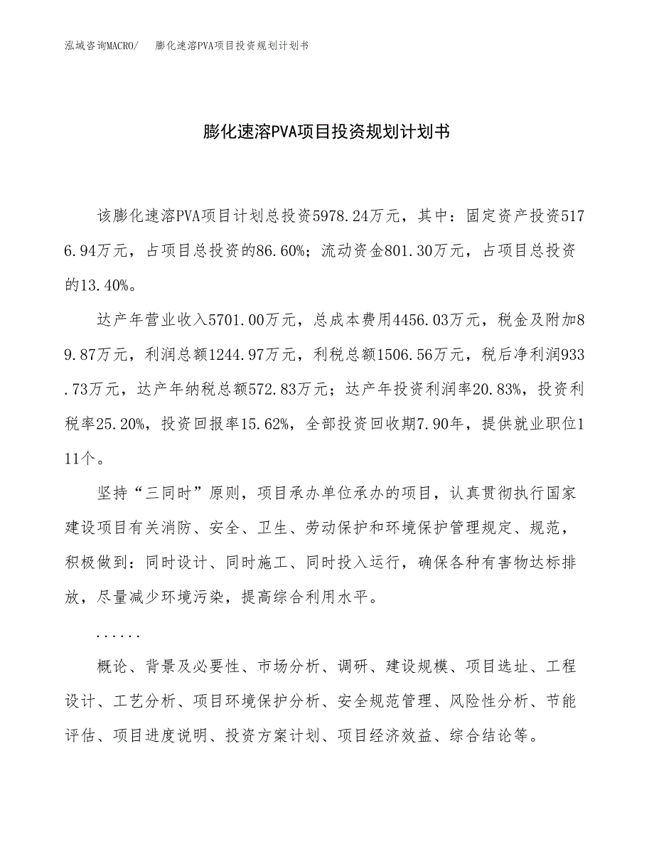 膨化速溶PVA项目投资规划计划书.docx_第1页