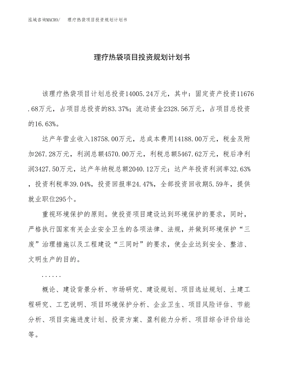 理疗热袋项目投资规划计划书.docx_第1页