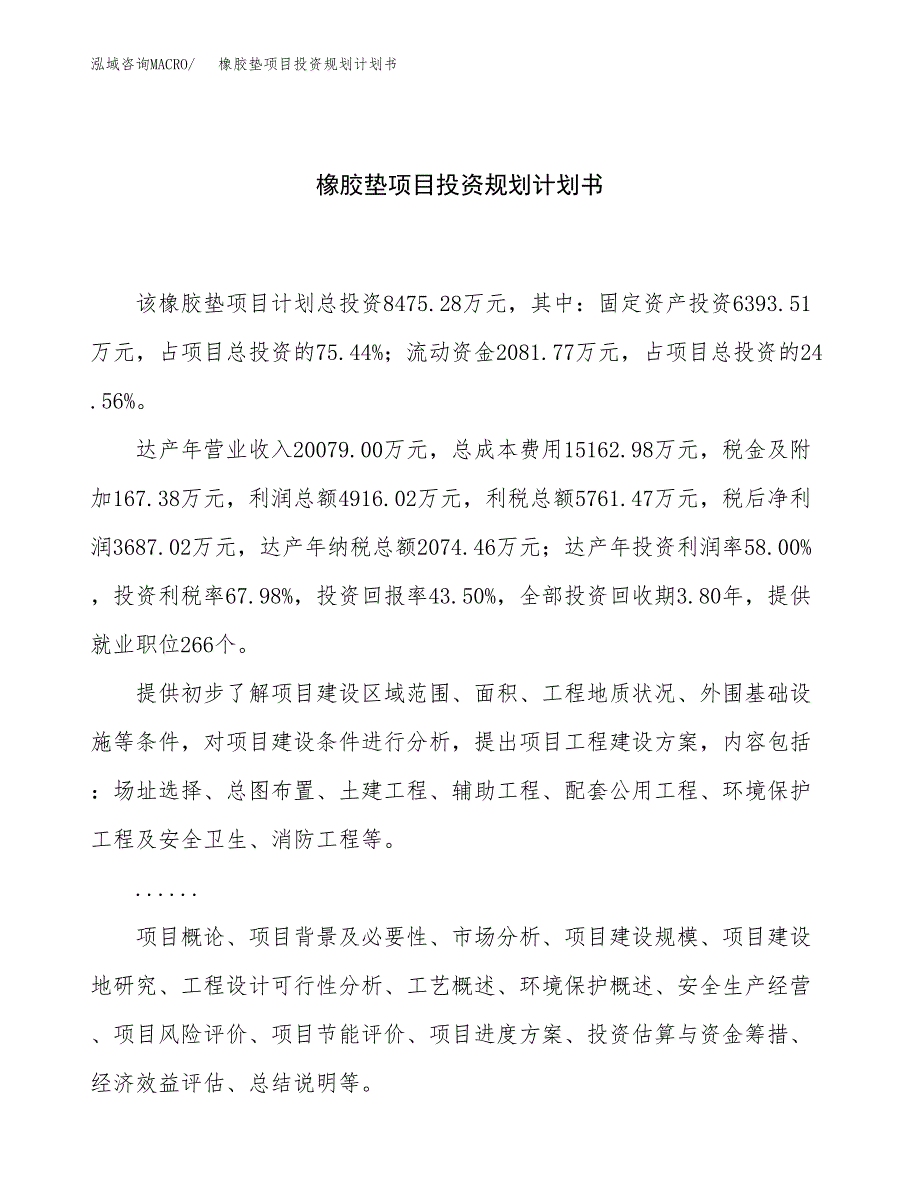 橡胶垫项目投资规划计划书.docx_第1页