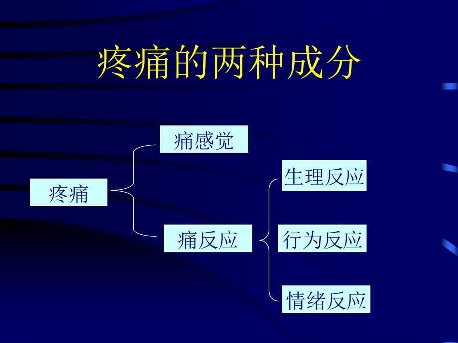 疼痛患者护理系列_第5页