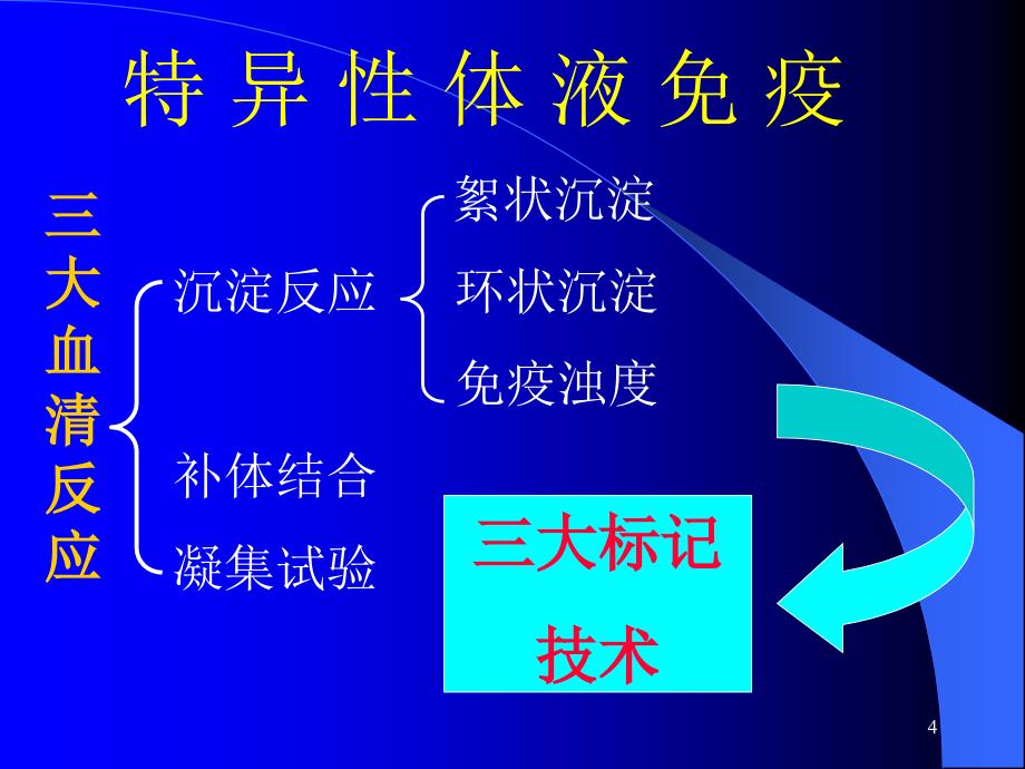 诊断学免疫学检查_第4页