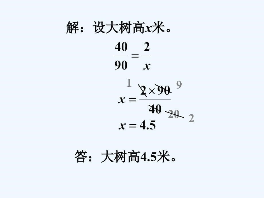 练习_操场上的数学问题_第5页