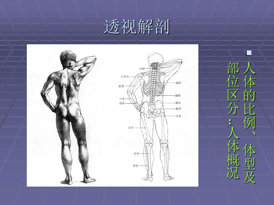 透视解剖_第2页