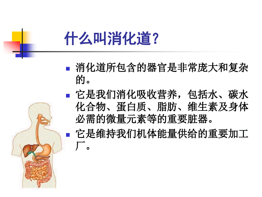 胃肠健康谁做主_第2页