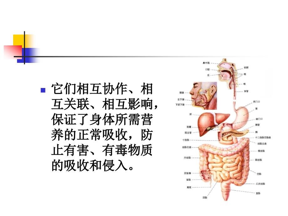 胃肠健康谁做主_第3页