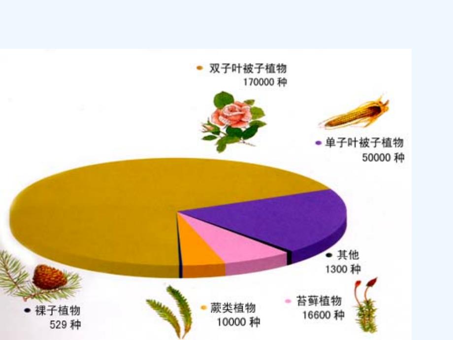 不同地理位置的物种多样性_第4页