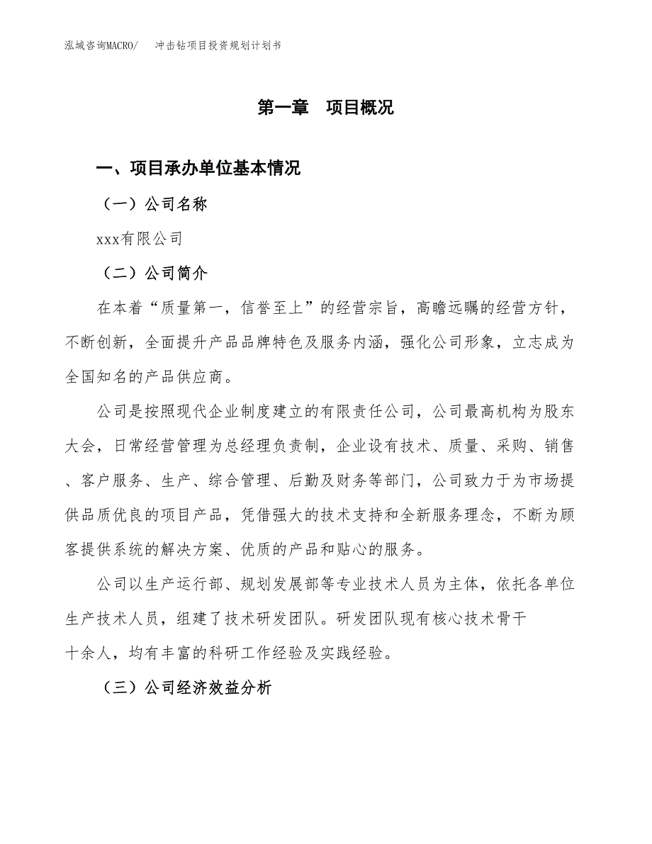 冲击钻项目投资规划计划书.docx_第2页