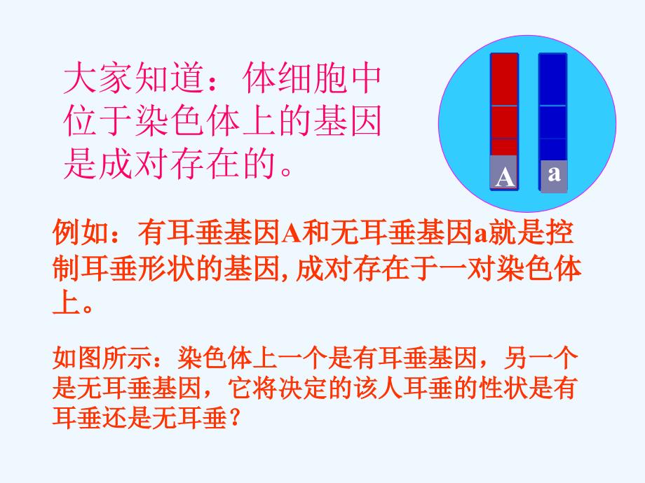 性状表现决定于基因组成_第1页