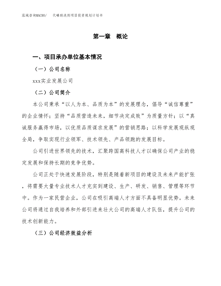 代磷助洗剂项目投资规划计划书.docx_第2页