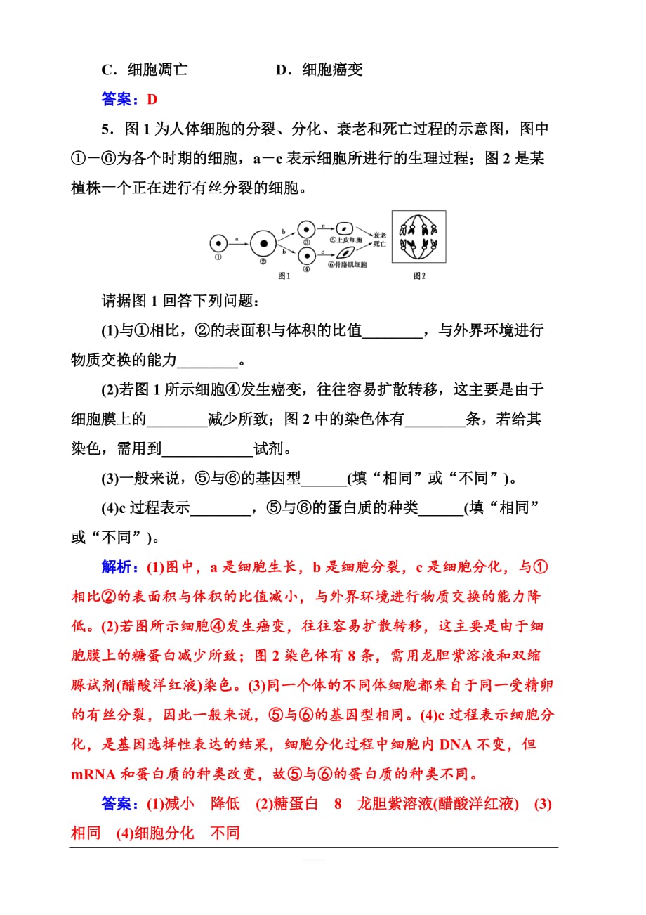 人教教2019秋金版学案生物必修1练习：第6章第3、4节细胞的衰老、凋亡和癌变含解析_第2页