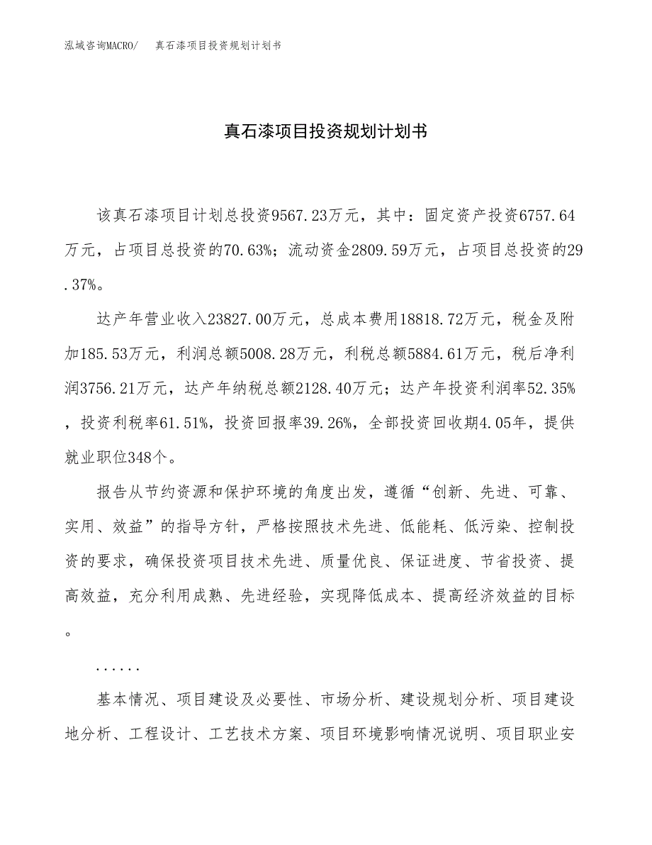 真石漆项目投资规划计划书.docx_第1页