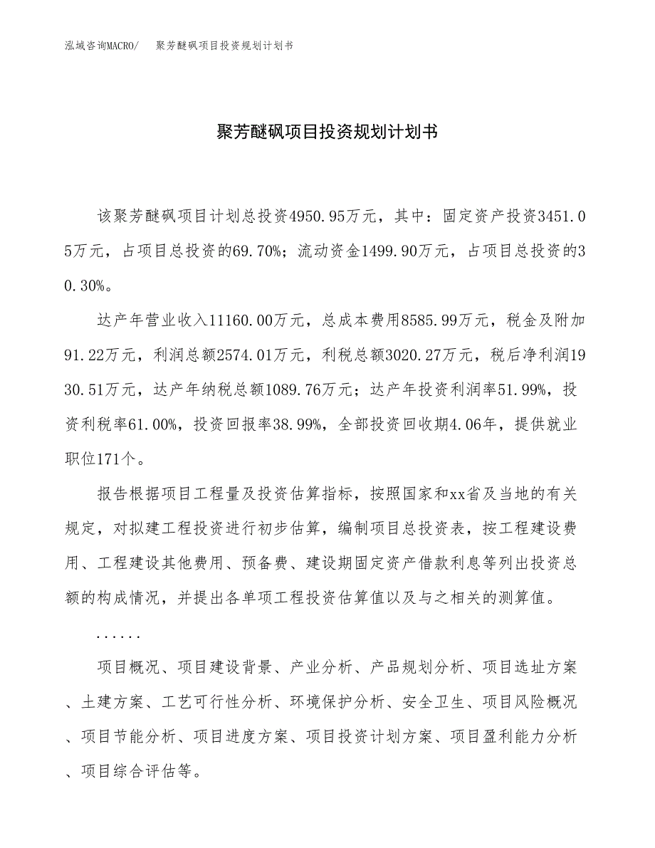 聚芳醚砜项目投资规划计划书.docx_第1页