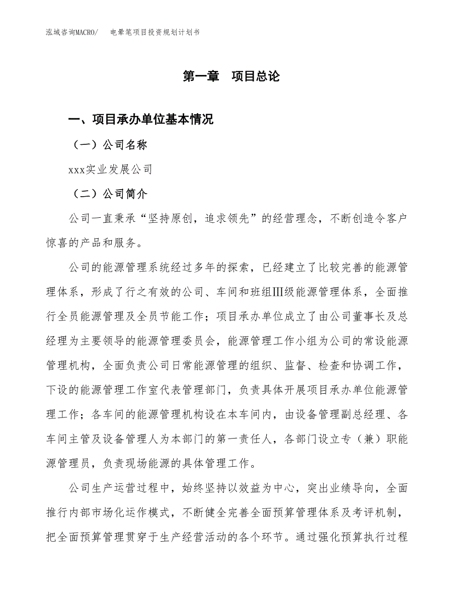 电晕笔项目投资规划计划书.docx_第3页