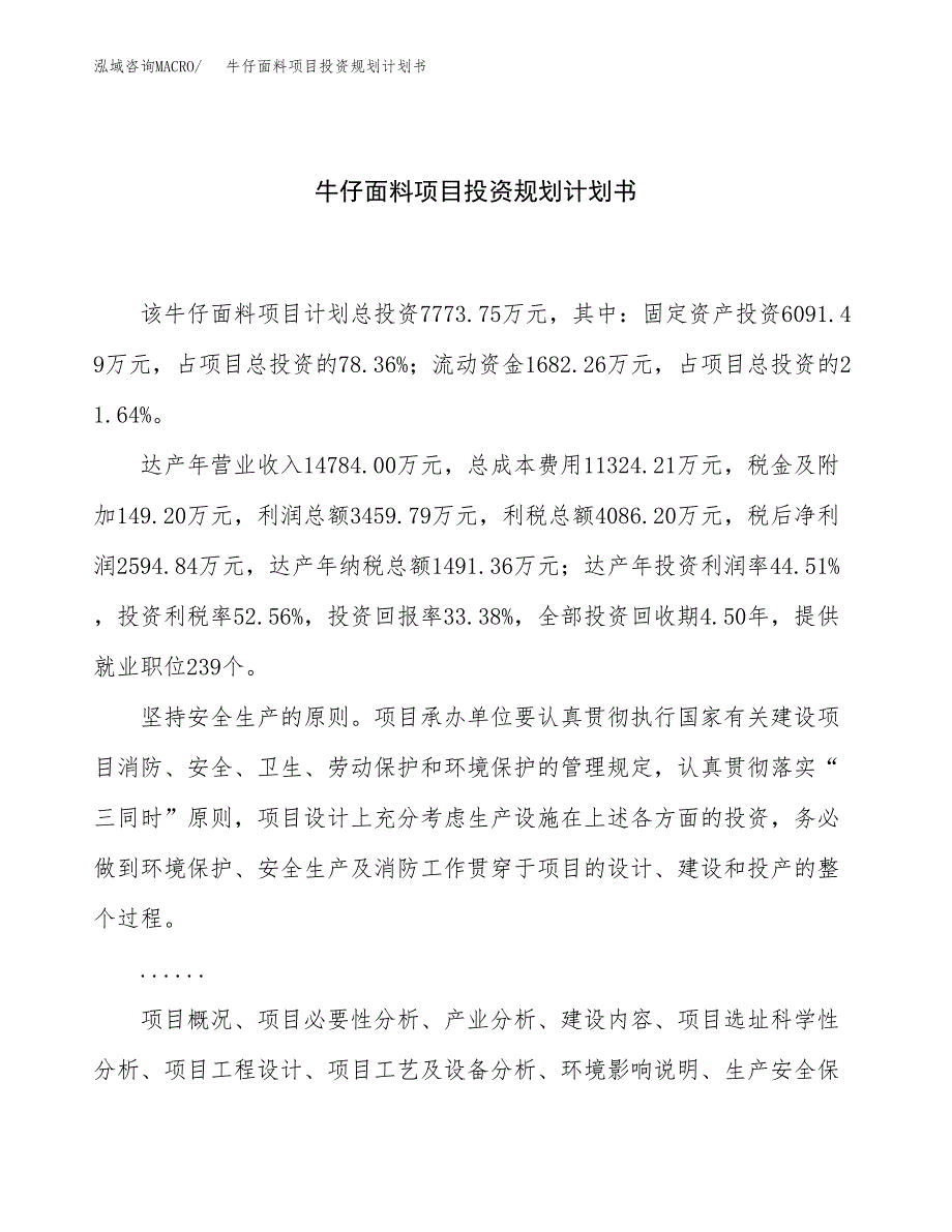 牛仔面料项目投资规划计划书.docx_第1页