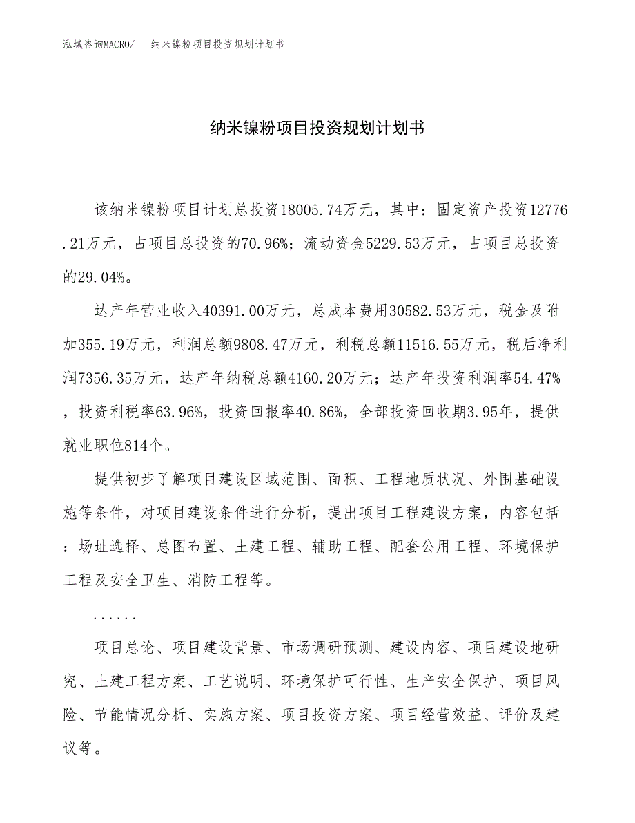 纳米镍粉项目投资规划计划书.docx_第1页