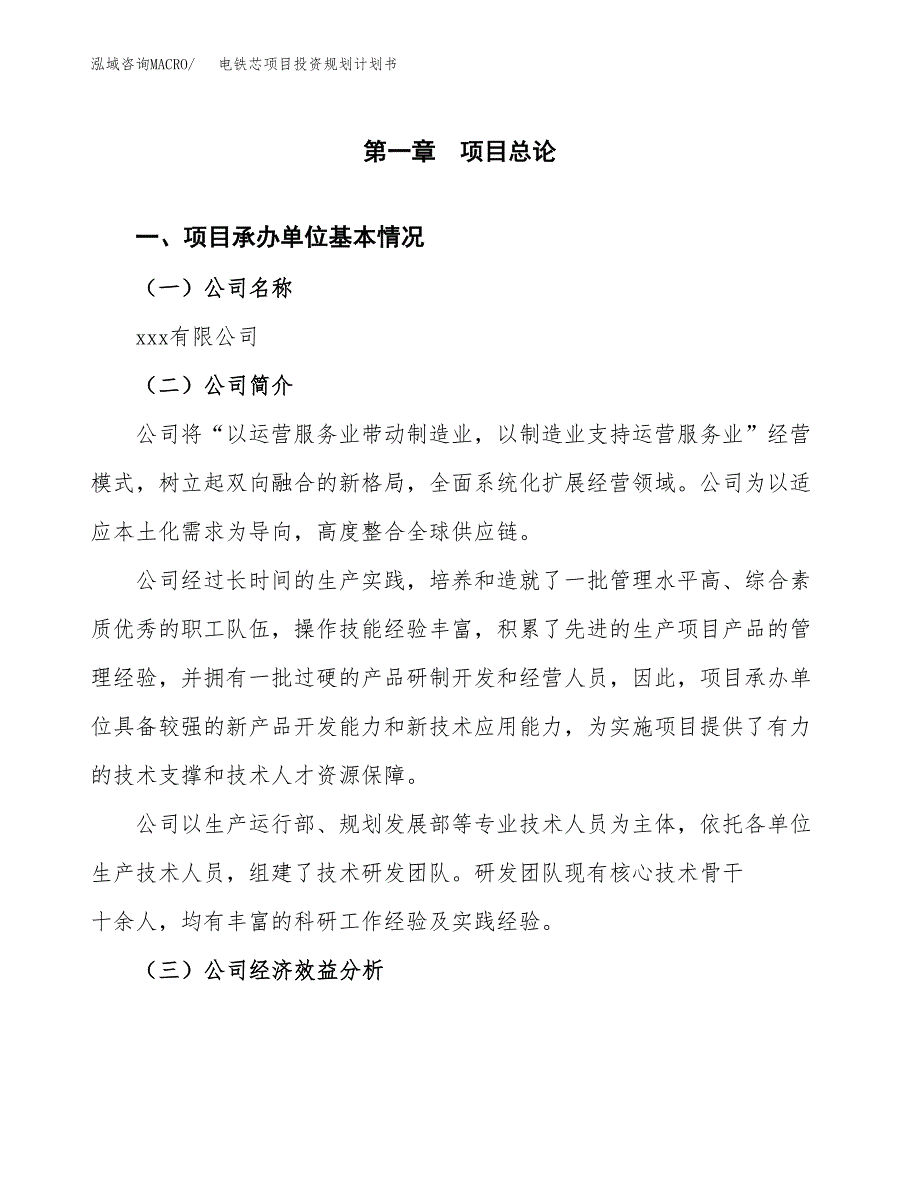 电铁芯项目投资规划计划书.docx_第3页