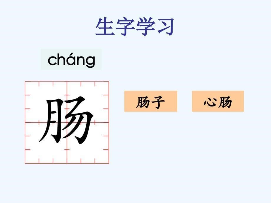 《穿红裙子的老师》课件2_第5页