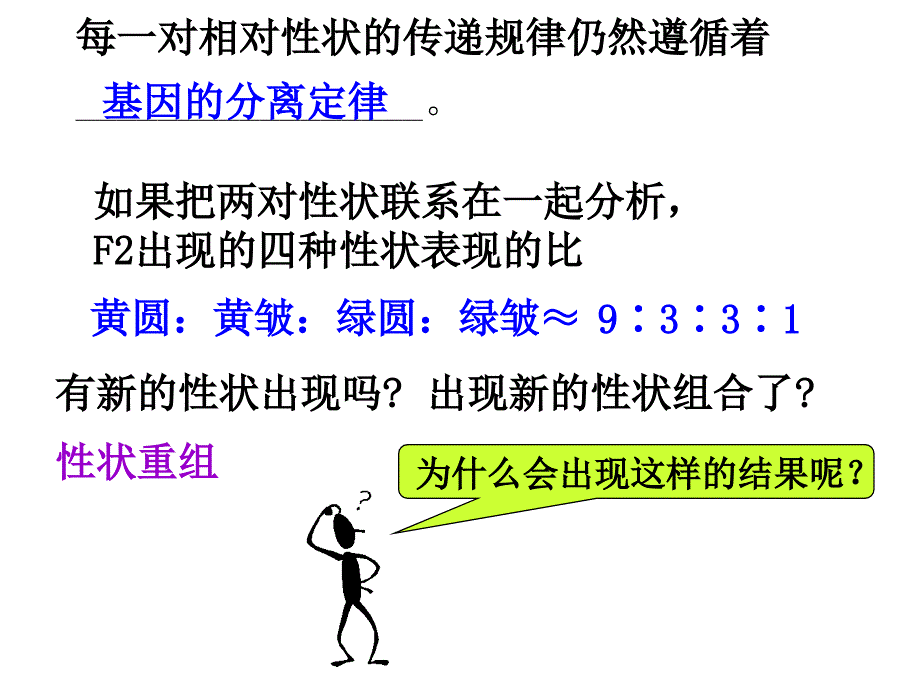 豌豆杂交实验二复习_第3页