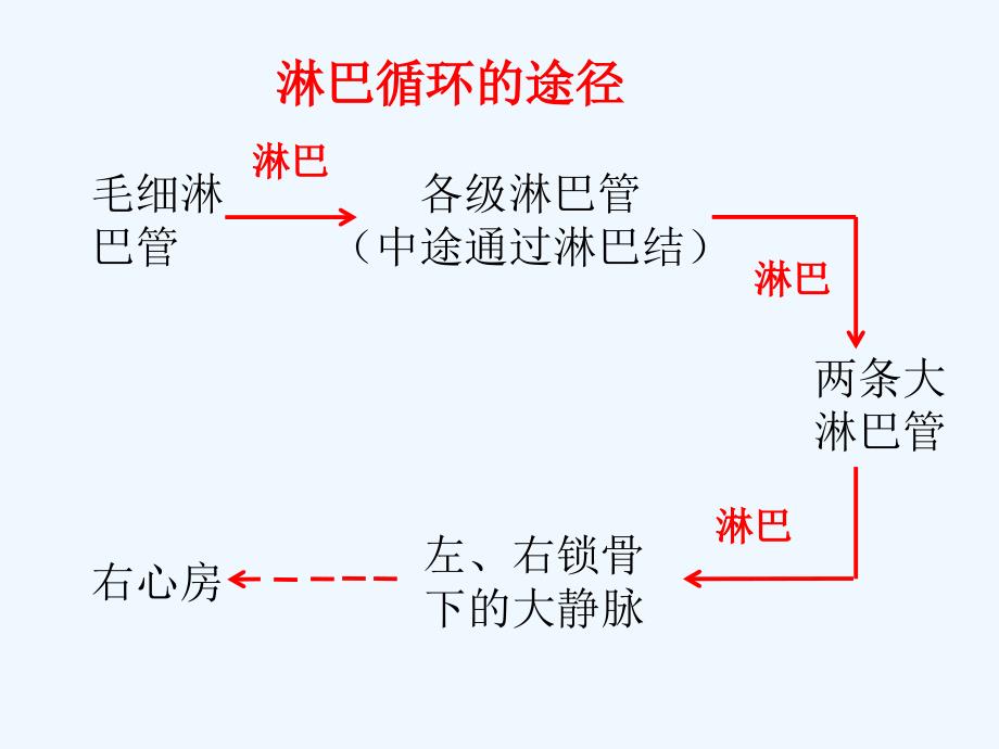 淋巴循环的途径_第1页