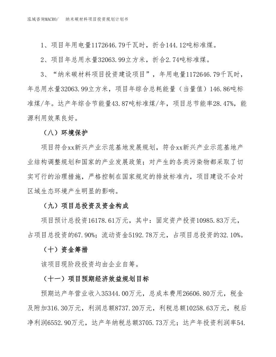 纳米碳材料项目投资规划计划书.docx_第5页