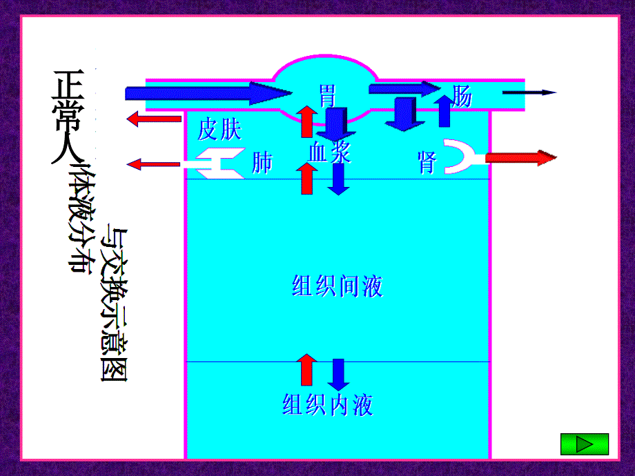 外科病人的体液失衡(一)_第2页