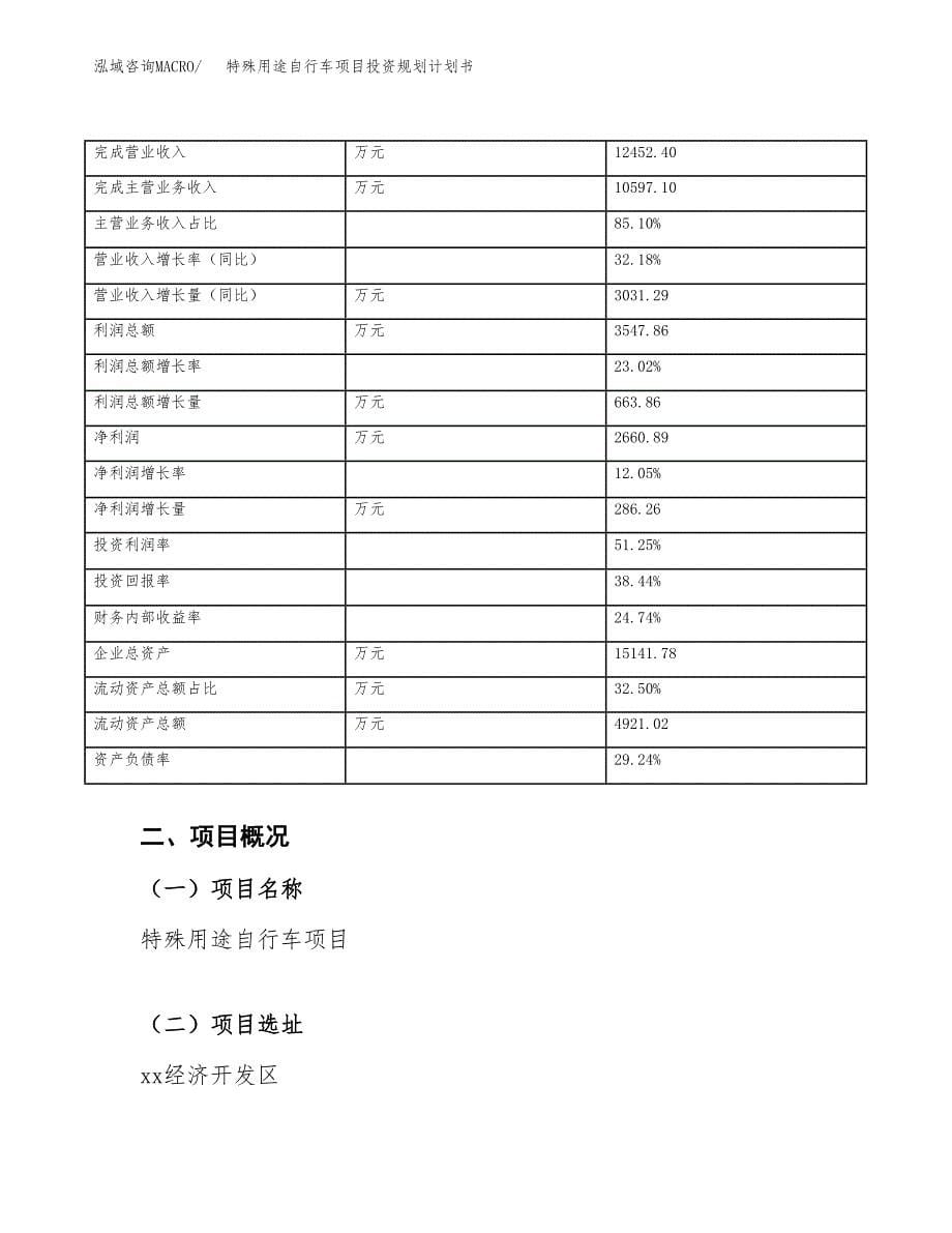 特殊用途自行车项目投资规划计划书.docx_第5页