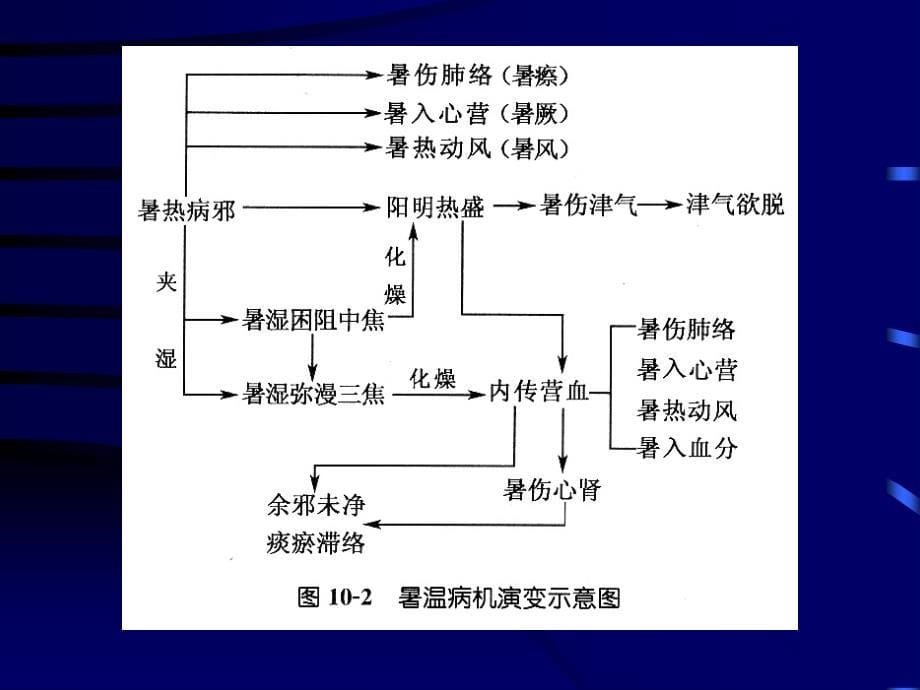 温病学 第十章  暑温 【附】冒暑、暑秽_第5页