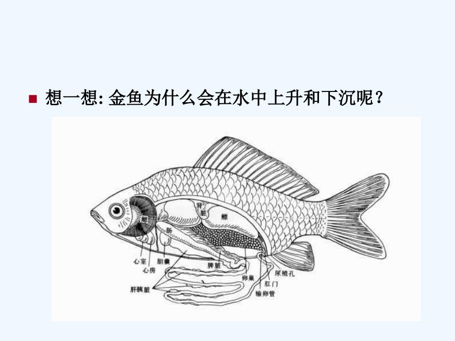 《科学的魅力 扩展认识》课件1_第3页