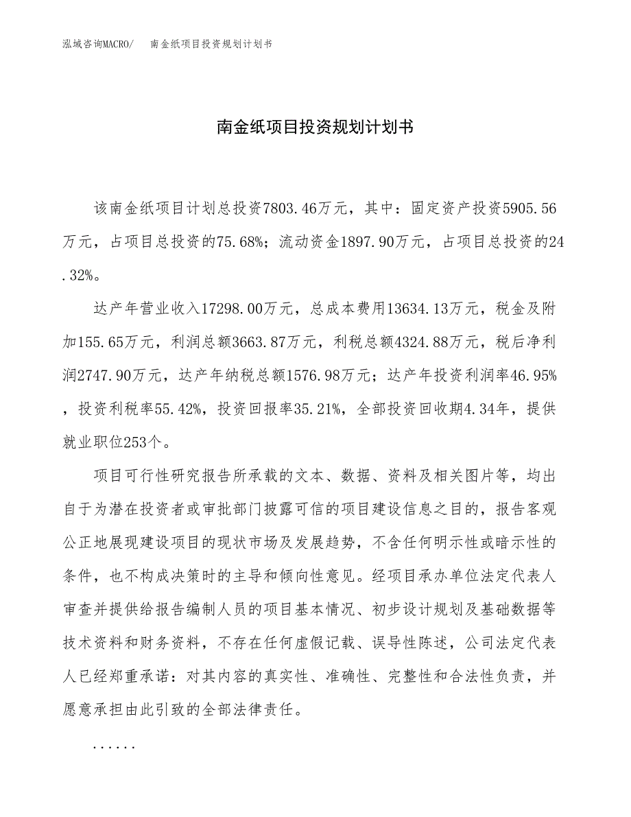 南金纸项目投资规划计划书.docx_第1页