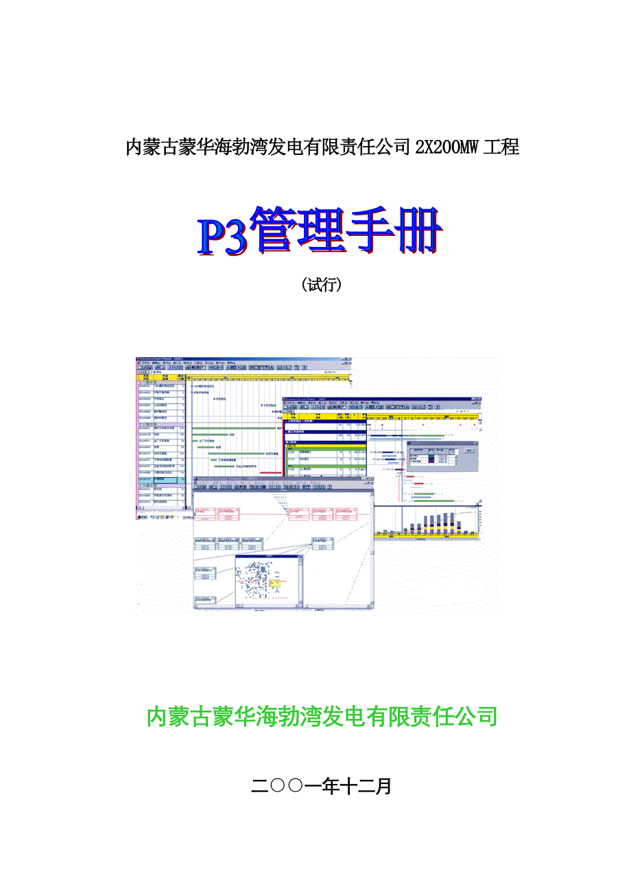 某集团发电工程p3管理手册_第1页