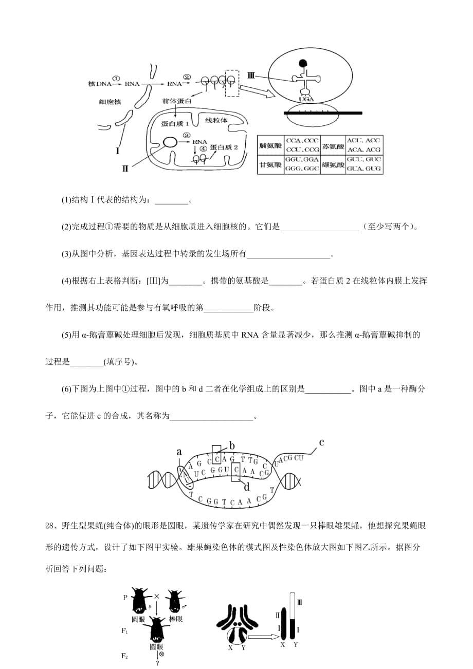 江西省上饶县中学2014年高二上学期第二次月考生物试卷（理特）_第5页