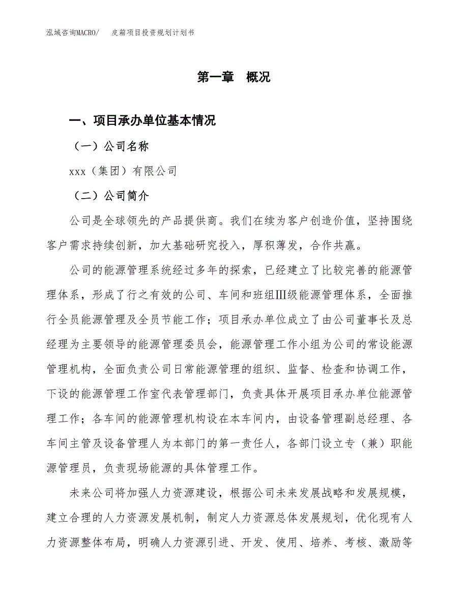 皮箱项目投资规划计划书.docx_第3页