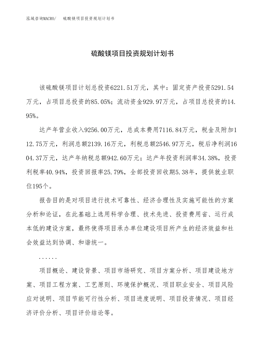 硫酸镁项目投资规划计划书.docx_第1页