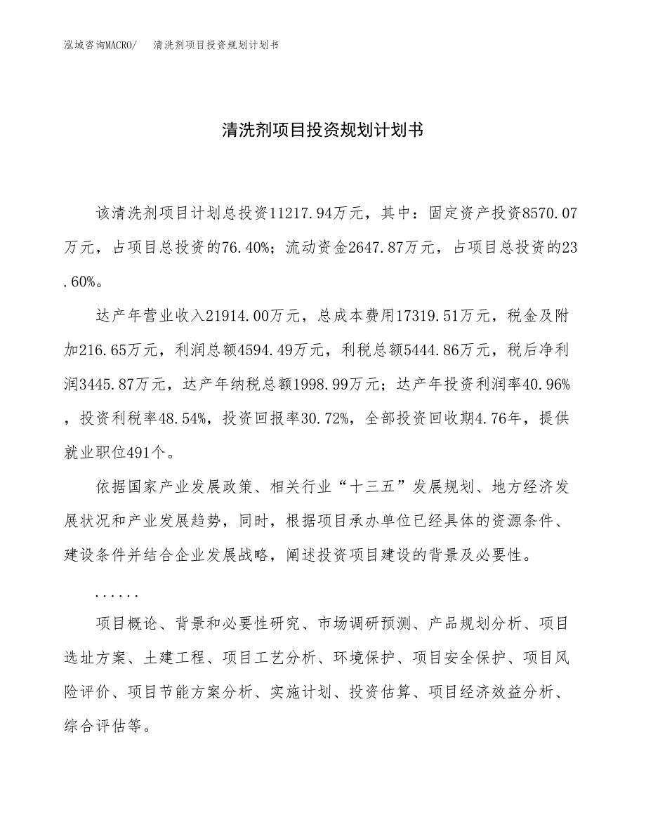 清洗剂项目投资规划计划书.docx_第1页