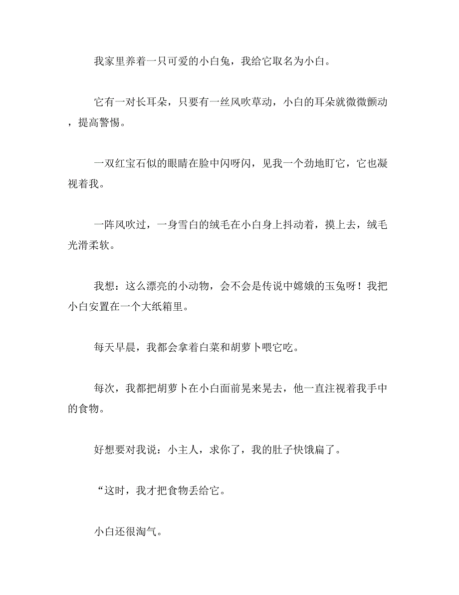 介绍可爱的小白兔的说明文400字全国最好的范文_第4页