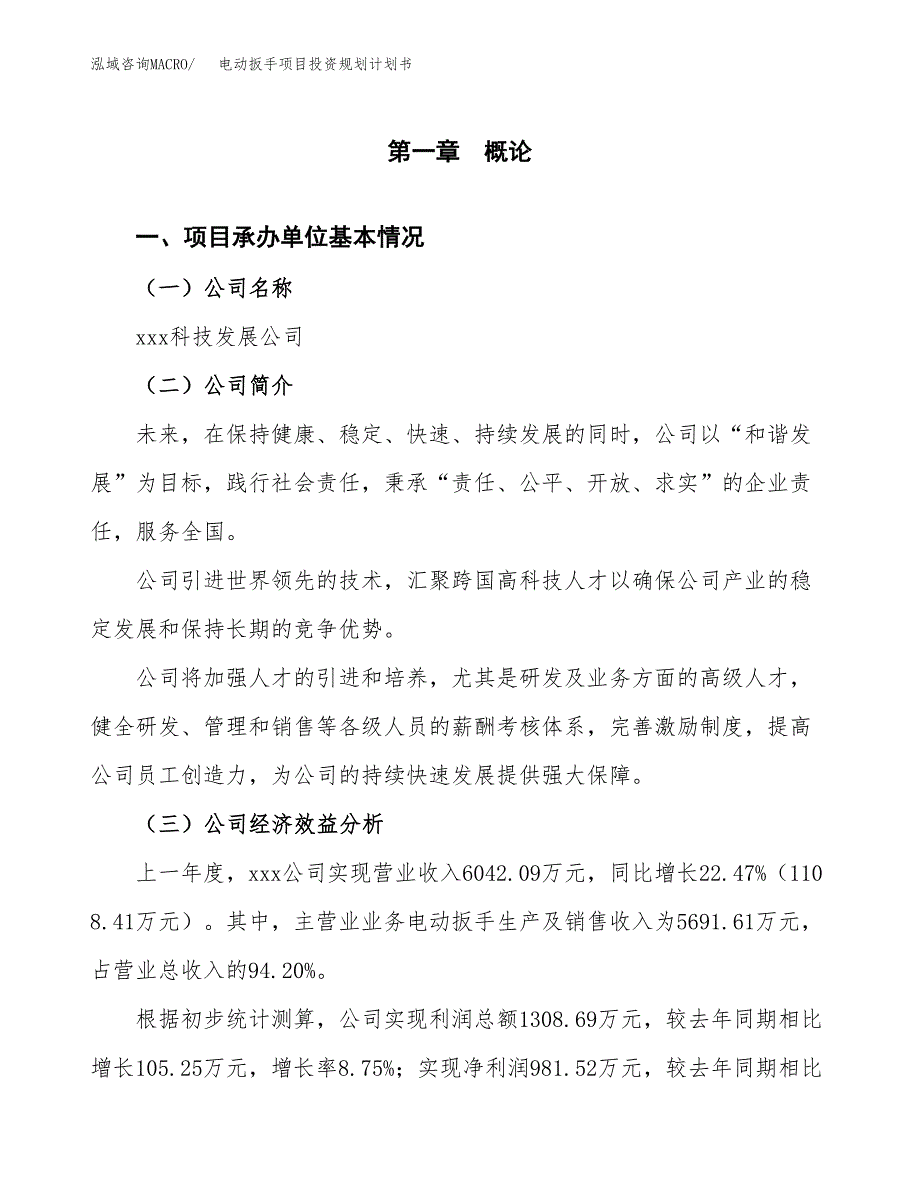 电动扳手项目投资规划计划书.docx_第2页