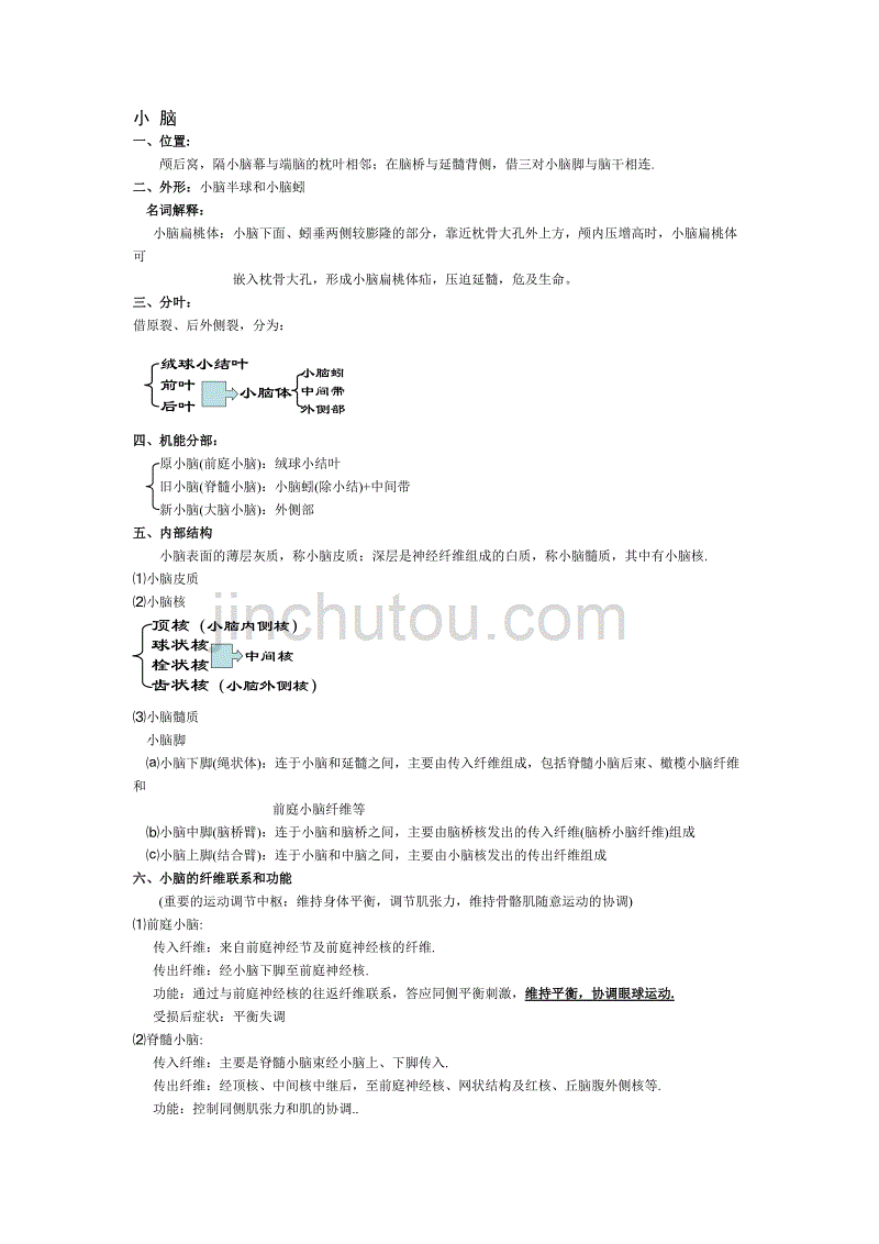 笔记16(小脑、间脑)_第1页