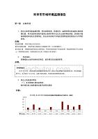 市场环境监测报告思路