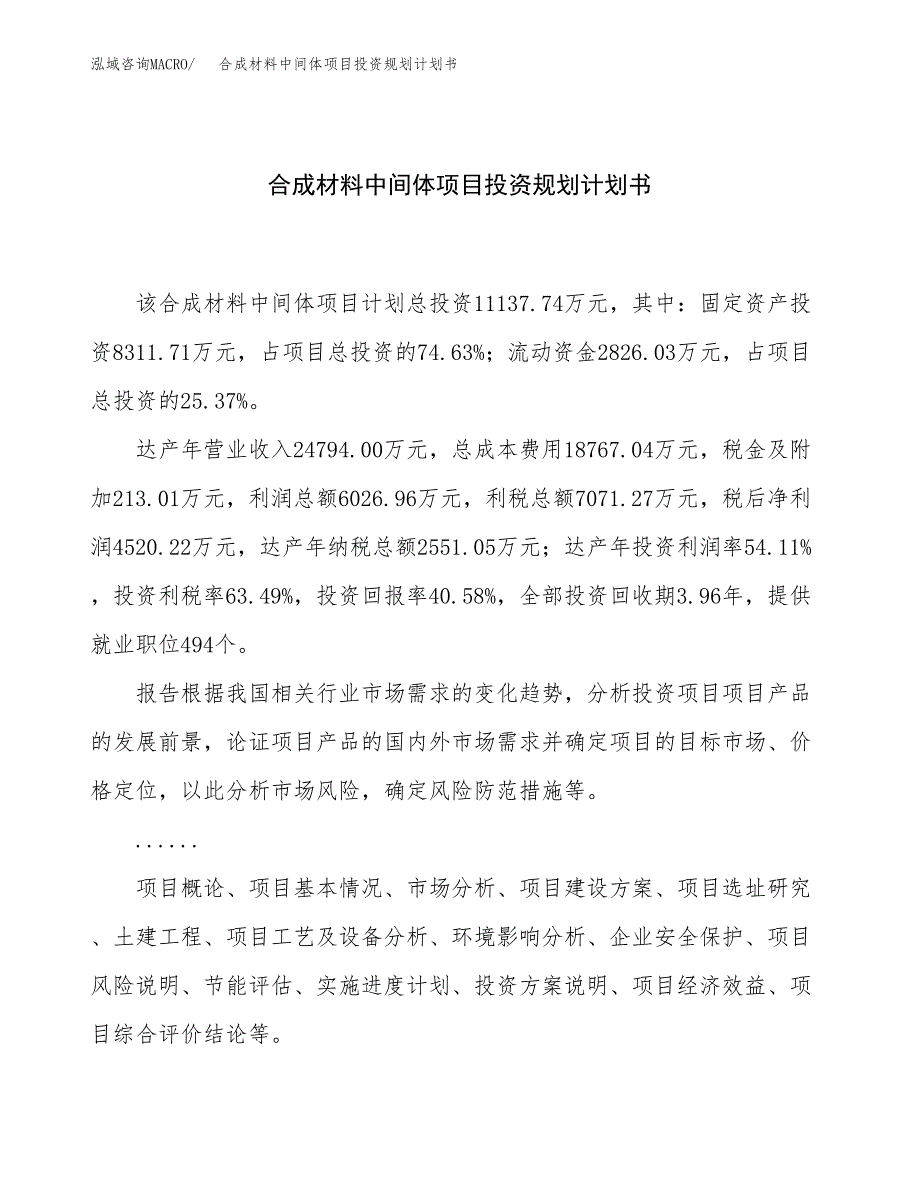 合成材料中间体项目投资规划计划书.docx_第1页