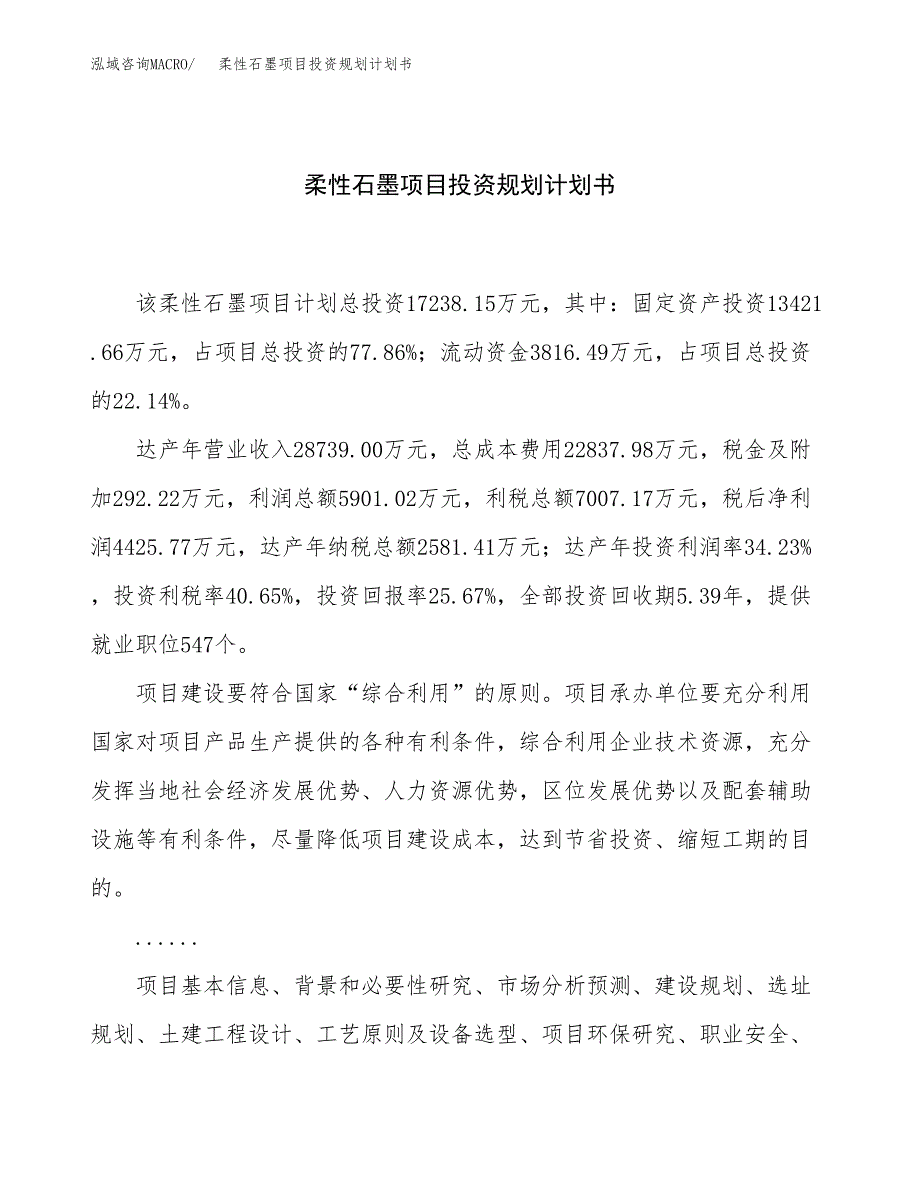 柔性石墨项目投资规划计划书.docx_第1页