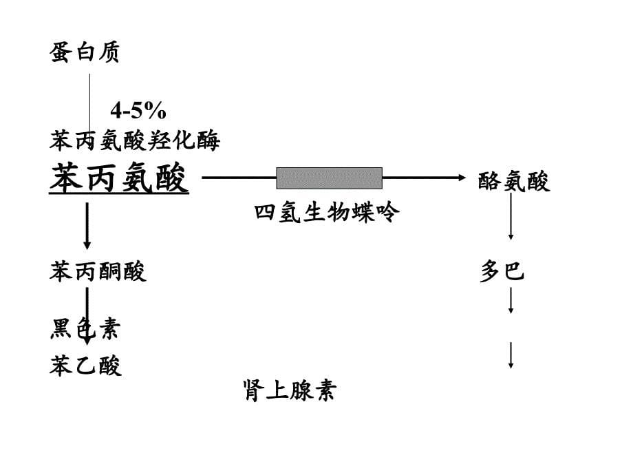 异型苯丙酮尿症的诊断与治疗处理版_第5页