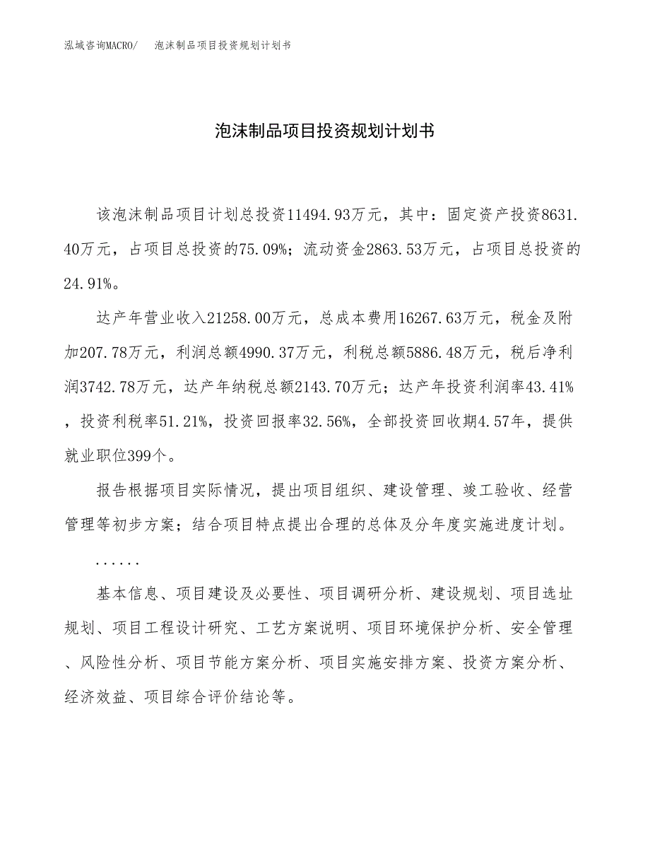 泡沫制品项目投资规划计划书.docx_第1页