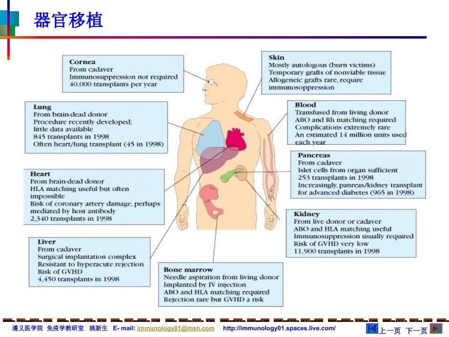 免疫球蛋白遵义医学院医学免疫学精品课程_第5页