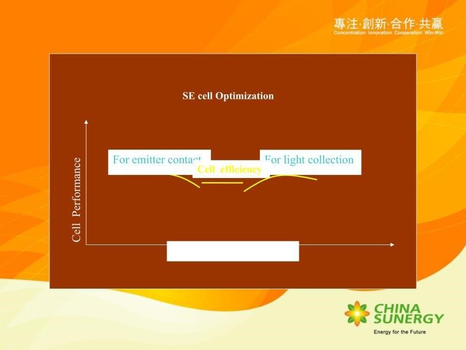 太阳能发电峰会资料china-sunergy中电光伏赵建华博士_第5页