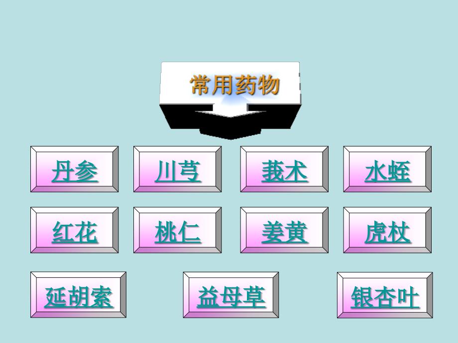 中药药理学活血化瘀药2_第2页