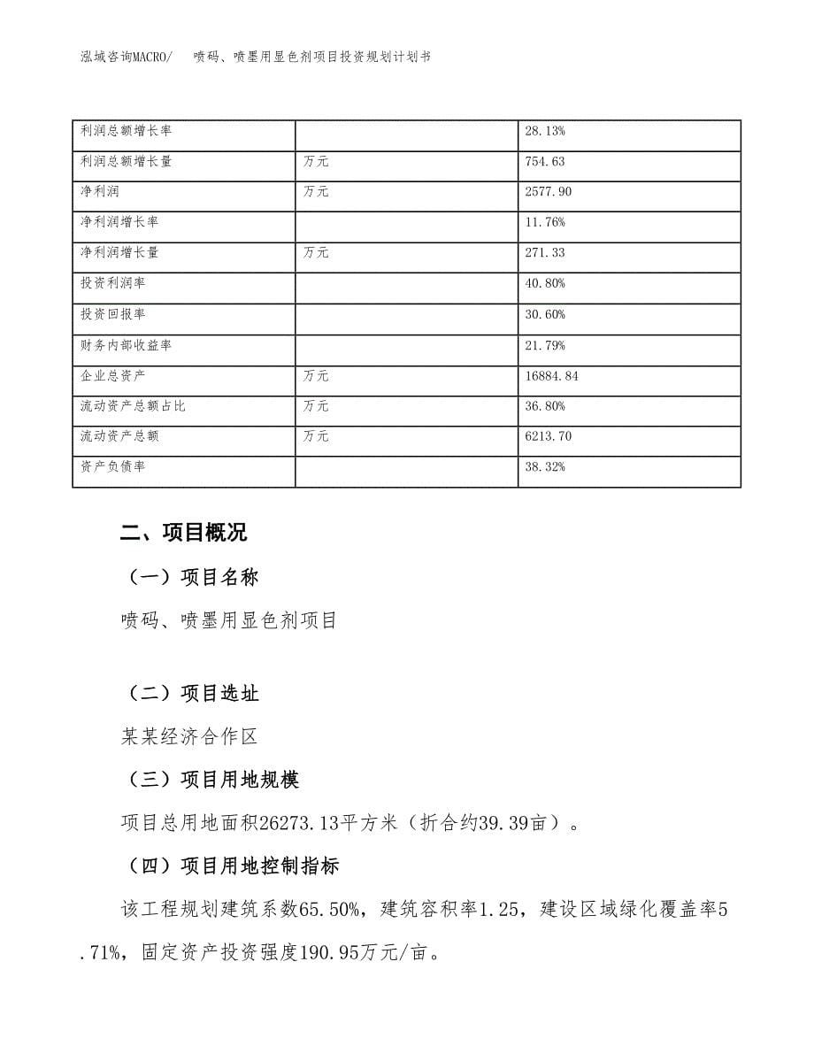 喷码、喷墨用显色剂项目投资规划计划书.docx_第5页