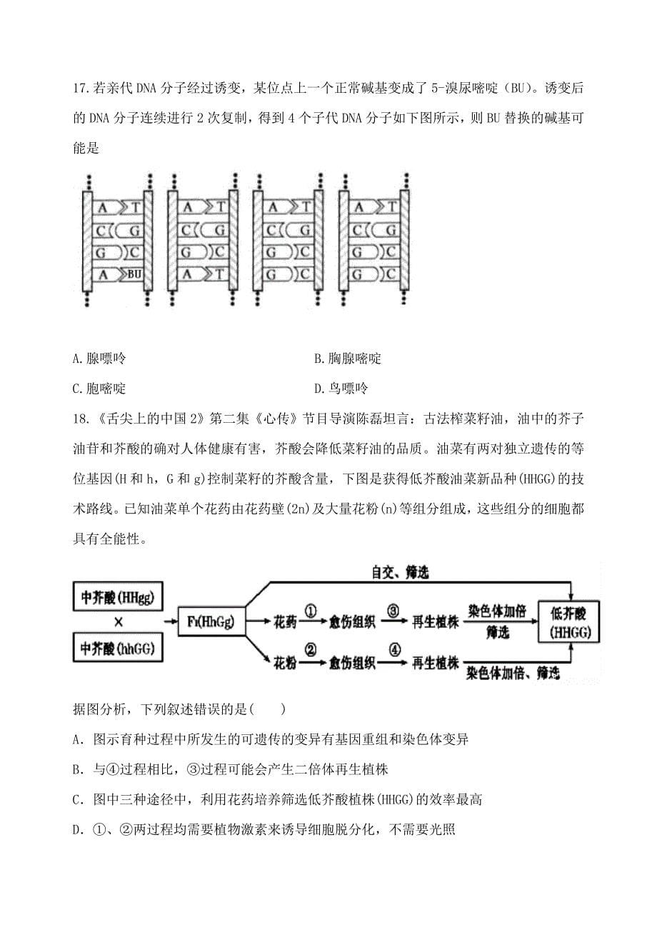 福建省武平县第一中学2015年高三上学期12月月考生物试卷_第5页