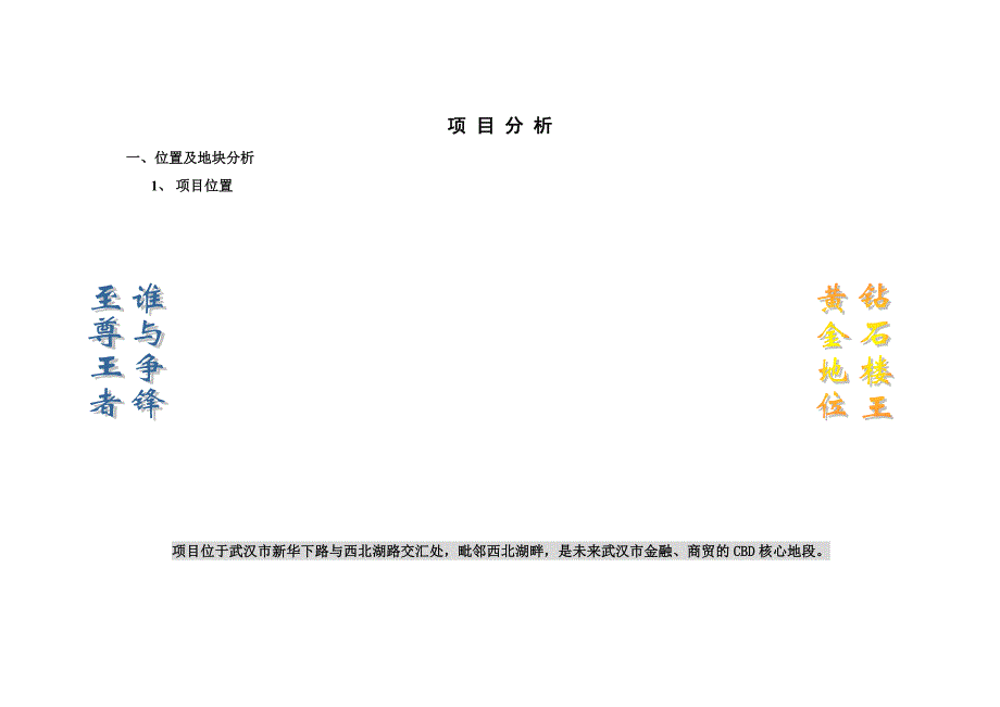 武汉某房地产项目市场定位报告_第2页